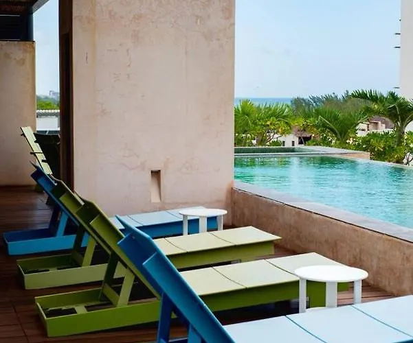 En El Corazón De Playa Del Carmen, Sabor A Miel *