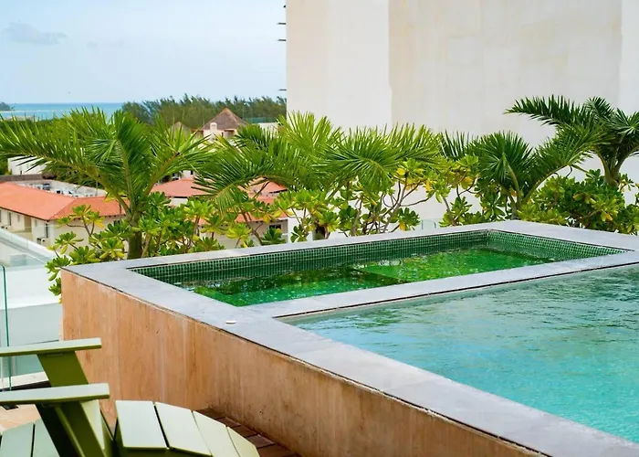 Apartamento En El Corazón De Playa Del Carmen, Sabor A Miel